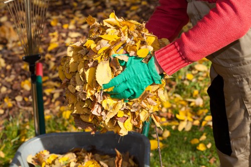 Environmental impact of effective waste clearance in Bethnalgreen